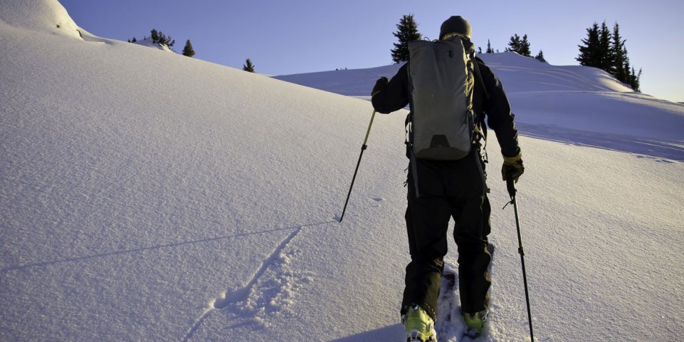 Du ski de randonnée