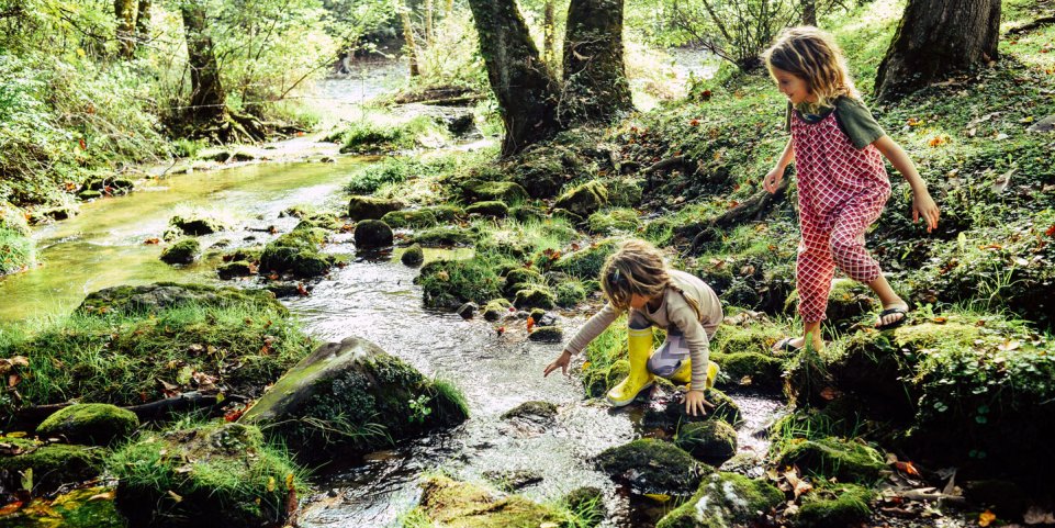 Enfants jouant dans un ruisseau en foret