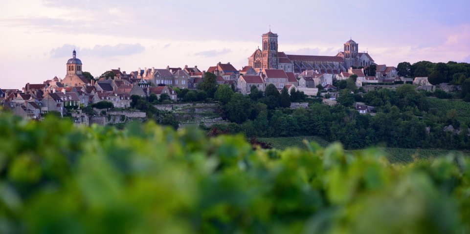 Vézelay vignes