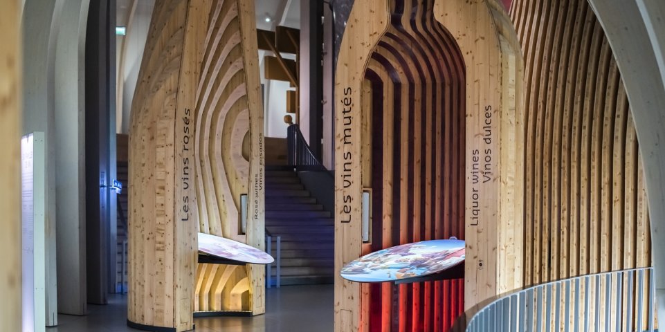 Cité du Vin à Bordeaux - Muséographie