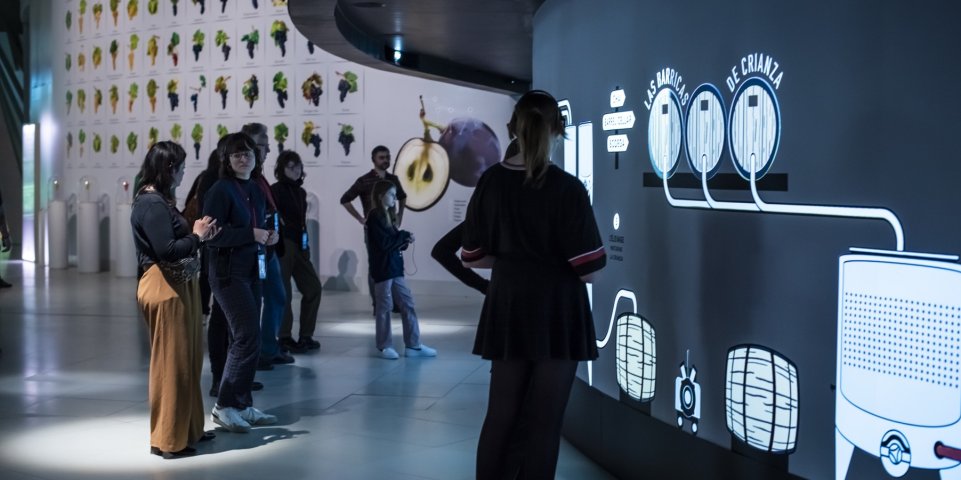 Cité du Vin à Bordeaux - Muséographie