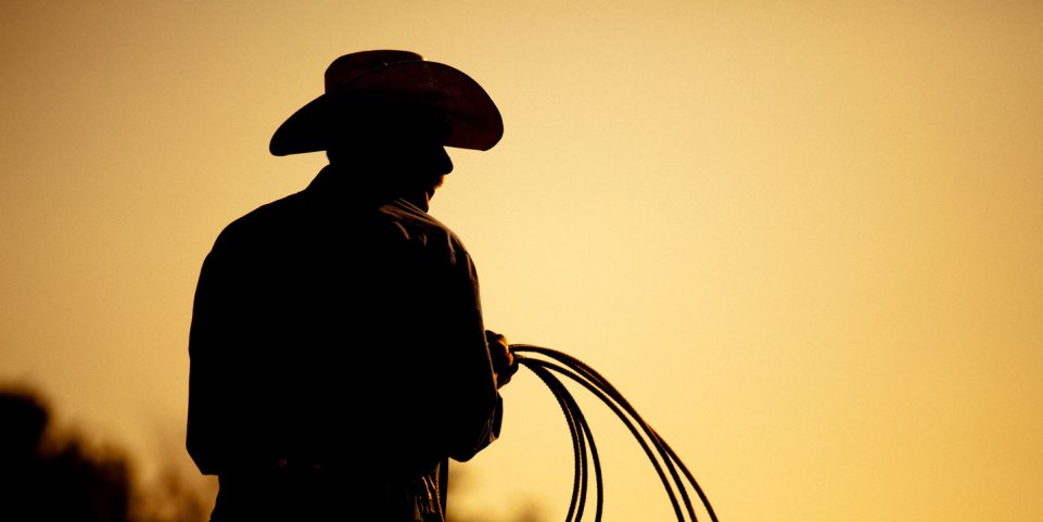 Cowboy