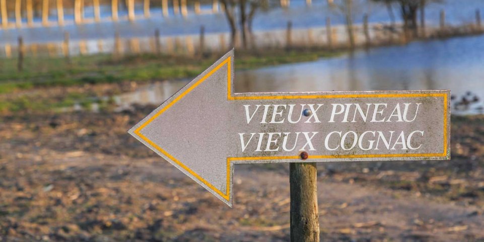 Flèche vieux Pineau vieux Cognac
