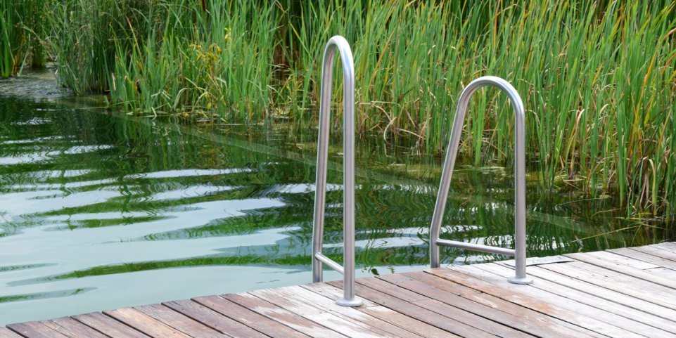 Pisine écologique