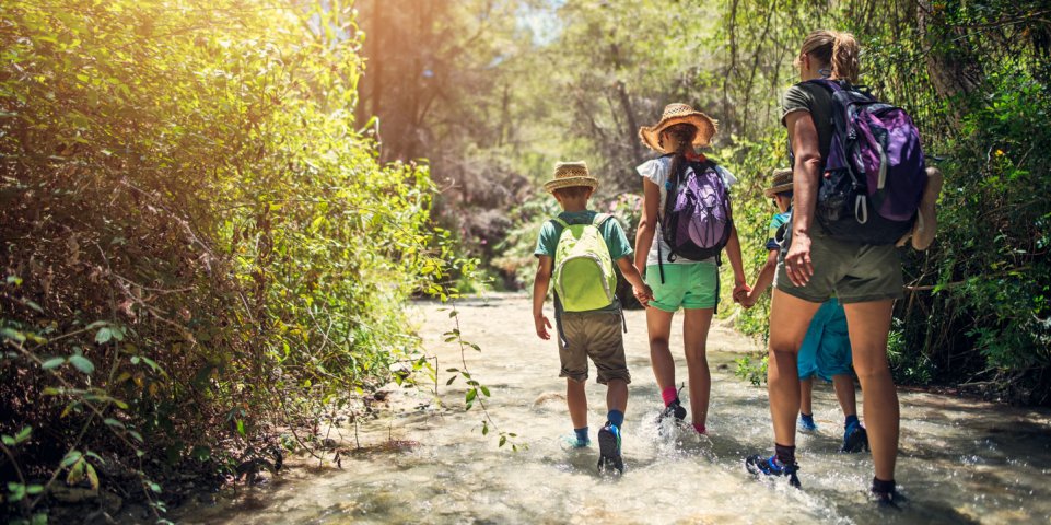 Famille randonnée forêt montagne