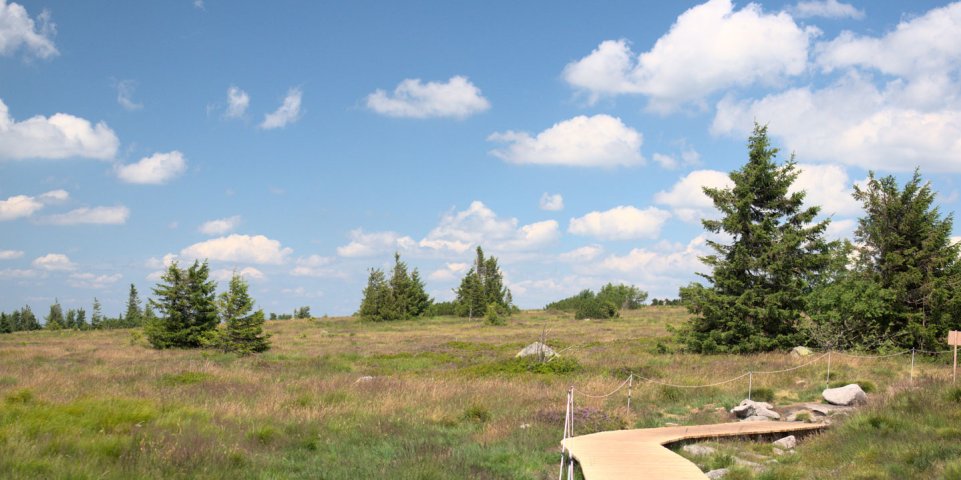 Gazon du Faing - Hautes-Vosges