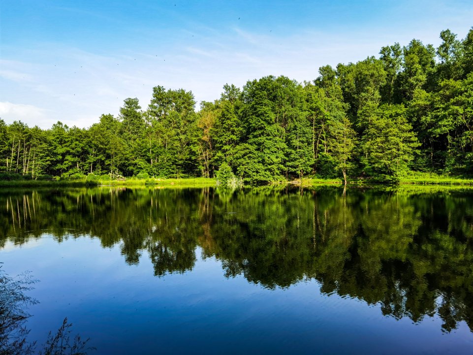 Le lac Waldsee