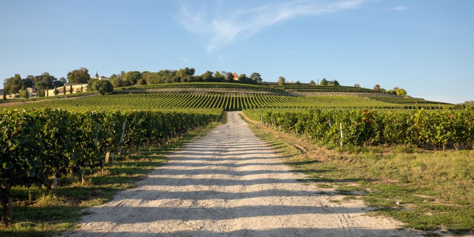 Saint-Emilion, Nouvelle-Aquitaine
