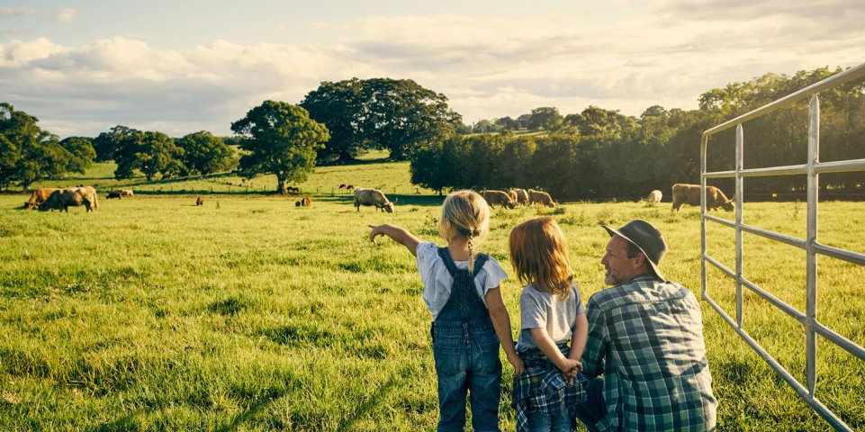 Famille à la ferme avec des vaches