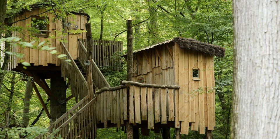 Cabanes en bois dans les arbres - Parc animalier de Sainte-Croix