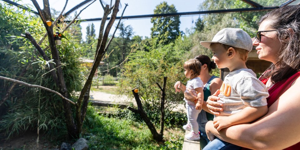 Zoo d'Upie