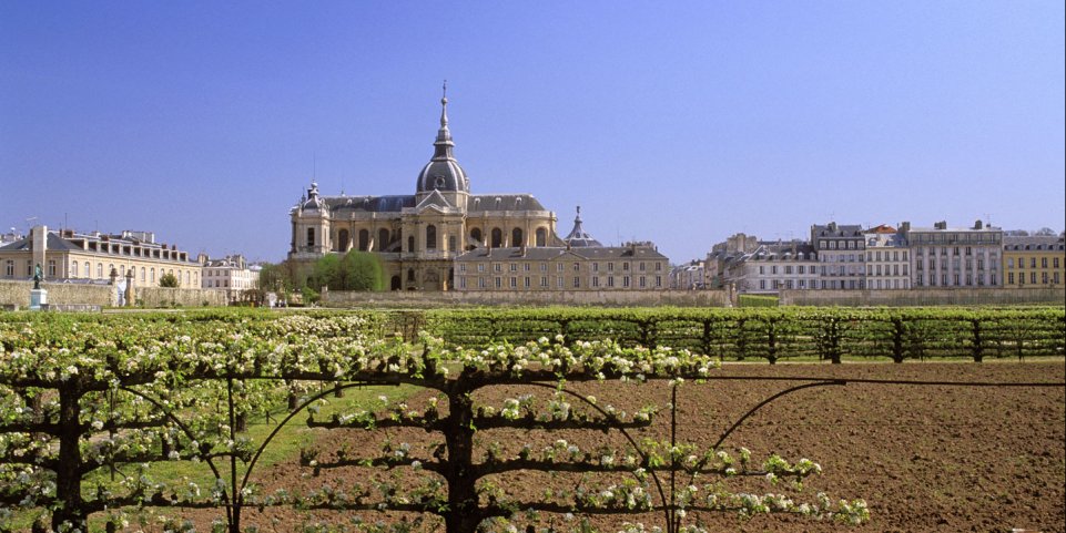 Potager du Roi versailles 