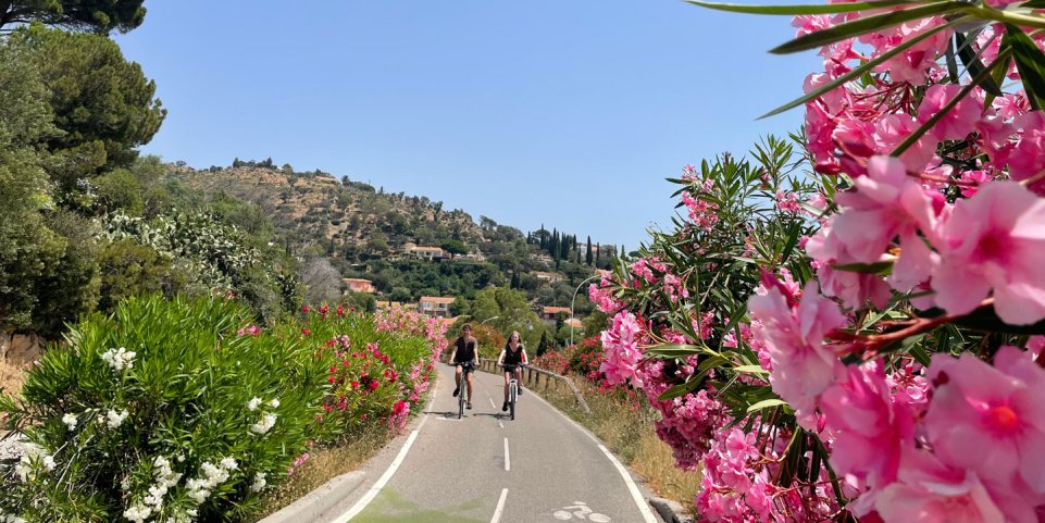 Piste cyclable - Le Lavandou
