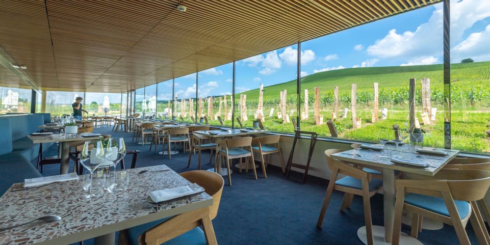Le Restaurant Instant Terroir à Pressoria, vue sur les vignes