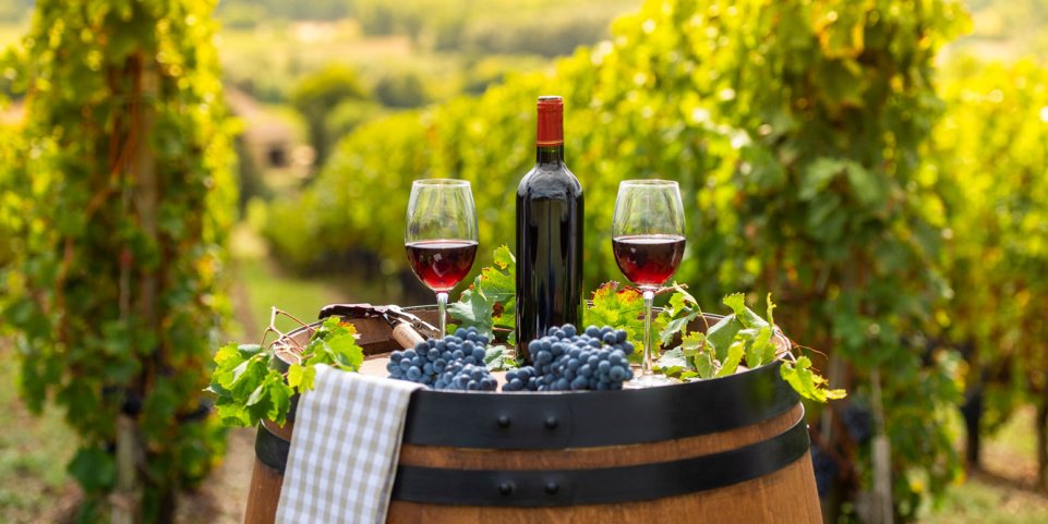 Dégustation de vin dans un vignoble