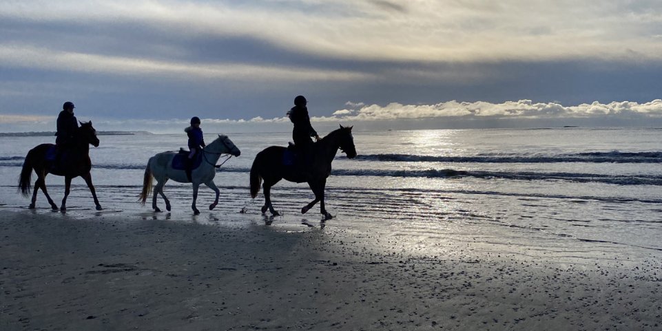 Chevaux sur la plage de La Baule