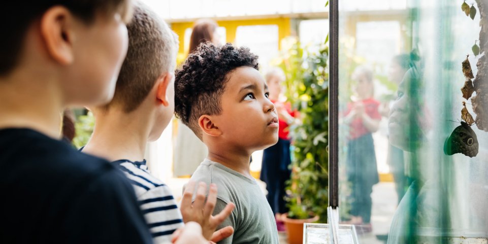 Enfant qui regarde une exposition