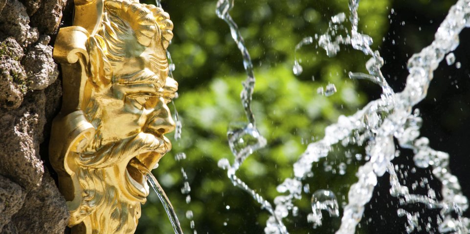 Tête d'or, parc de la tête d'or Lyon-couv