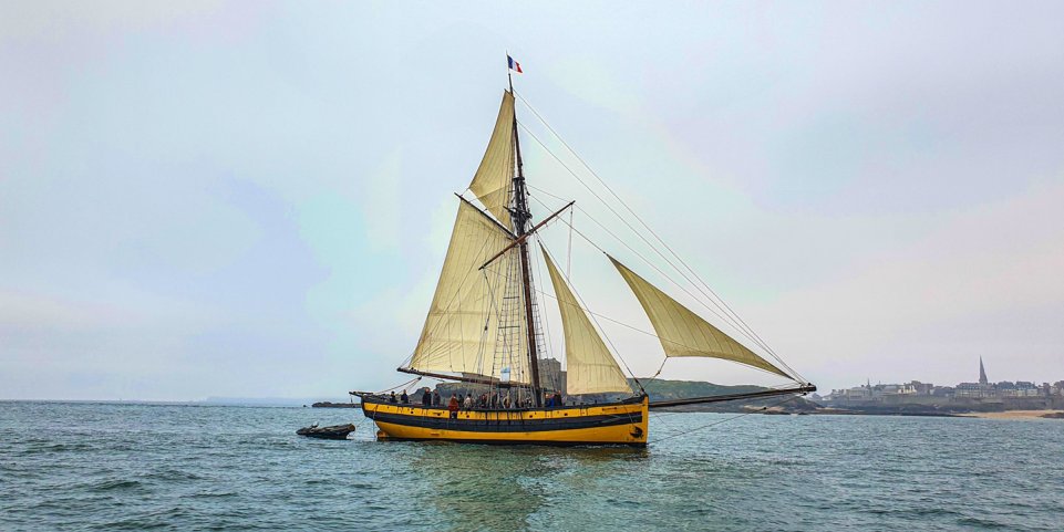 Le Renard dans la Baie de Saint-Malo