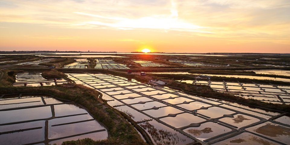  Les marais salants de la presqu'île de Guerande