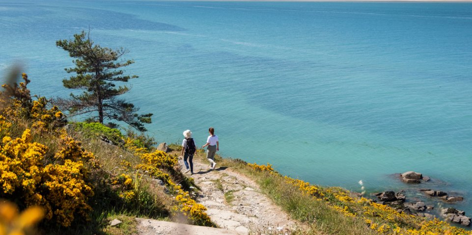 Réserve naturelle de Saint-Brieuc - Hillion - Bretagne
