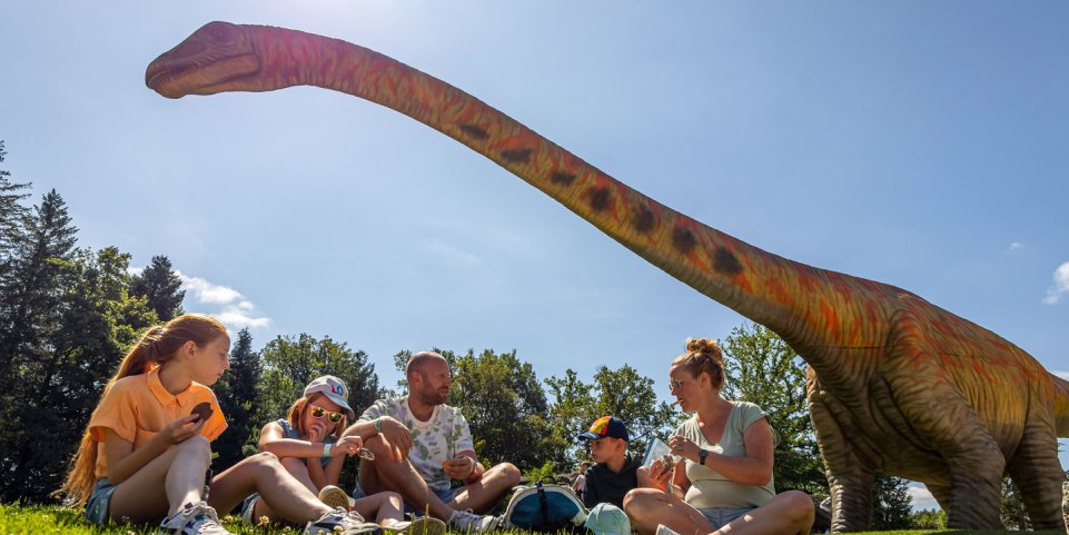 Dino Zoo