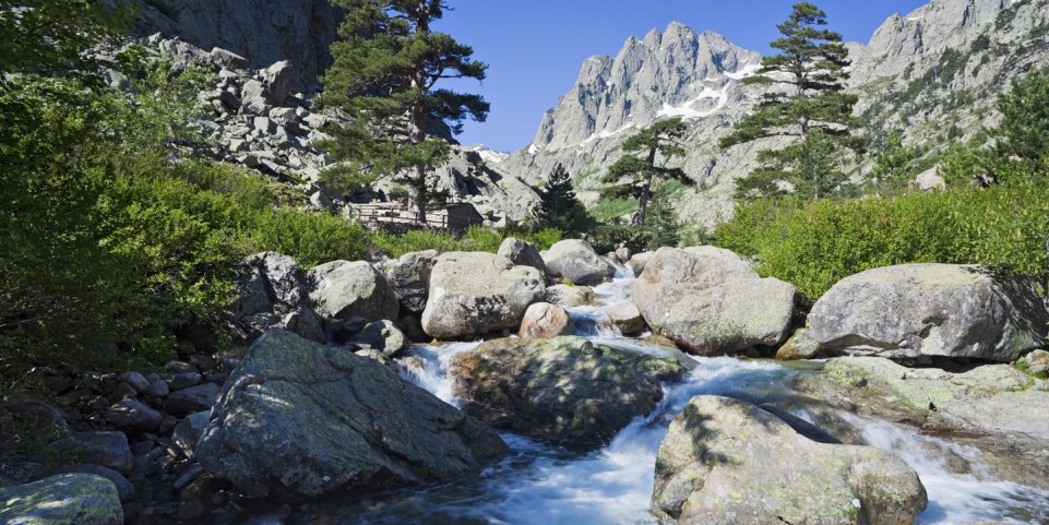 gorges de la restonica corse