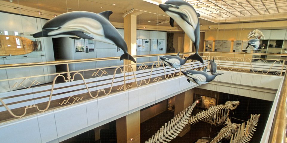 Interieur du Musée de la Mer de Biarritz