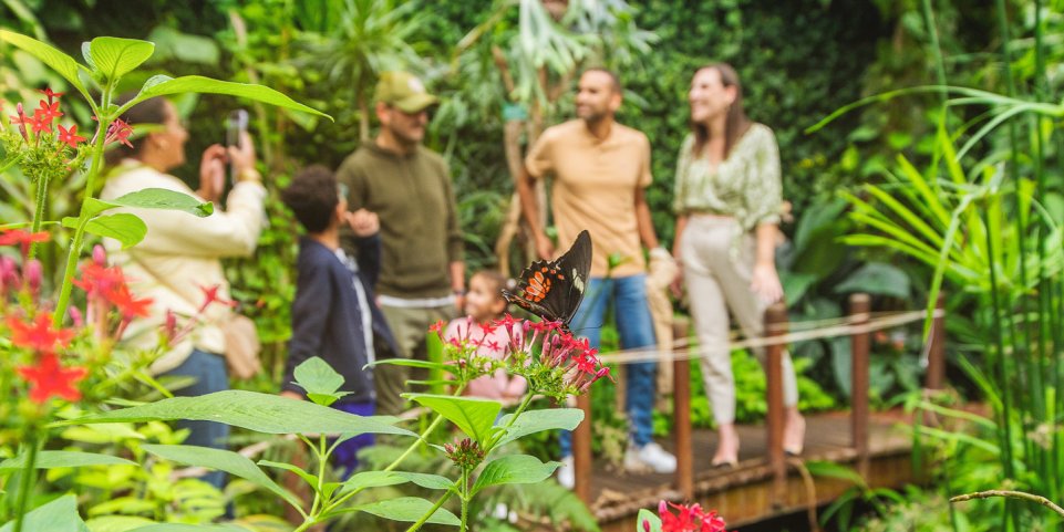 Parc Floral en famille à Orléans