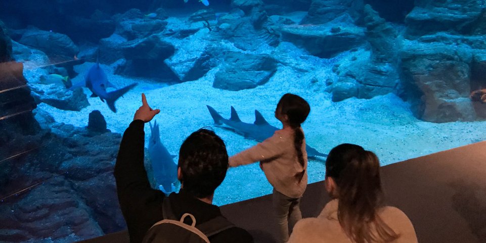 Planet Océan, Montpellier
