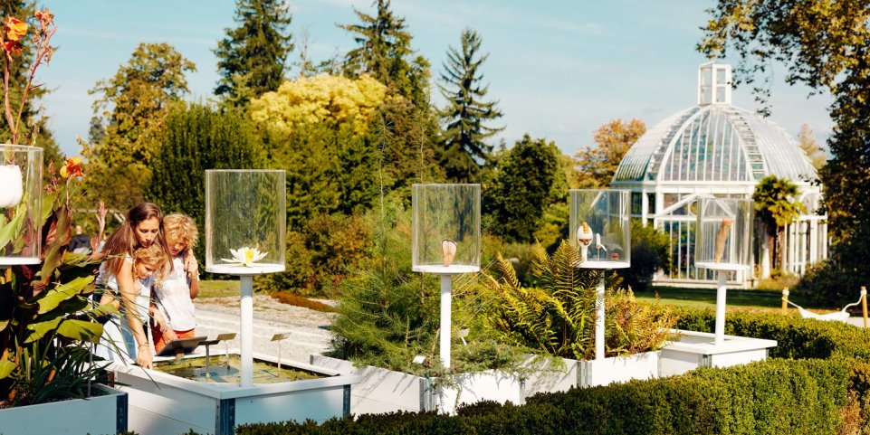 Jardin botanique de Genève