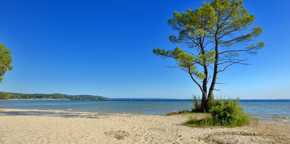 Lac de Biscarosse, Landes