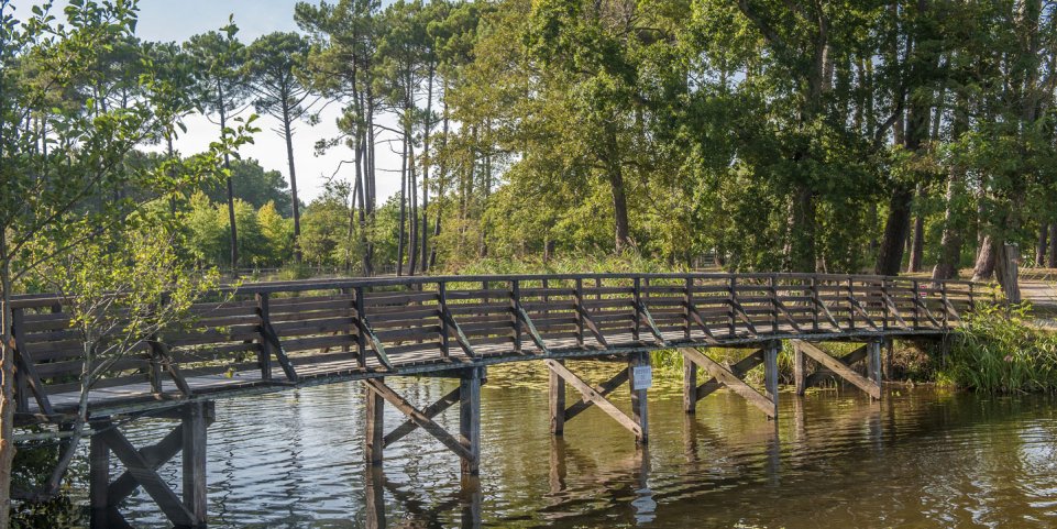 Passerelle en bois, Sainte-Eulalie, Biscarosse
