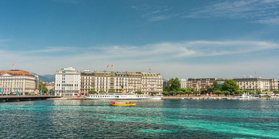 Les mouettes genevoises dans le Lac léman - genève