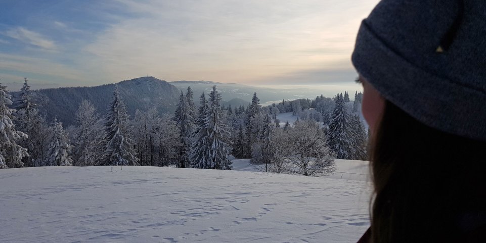 Vue sur les Alpes depuis le Mont-d'Or