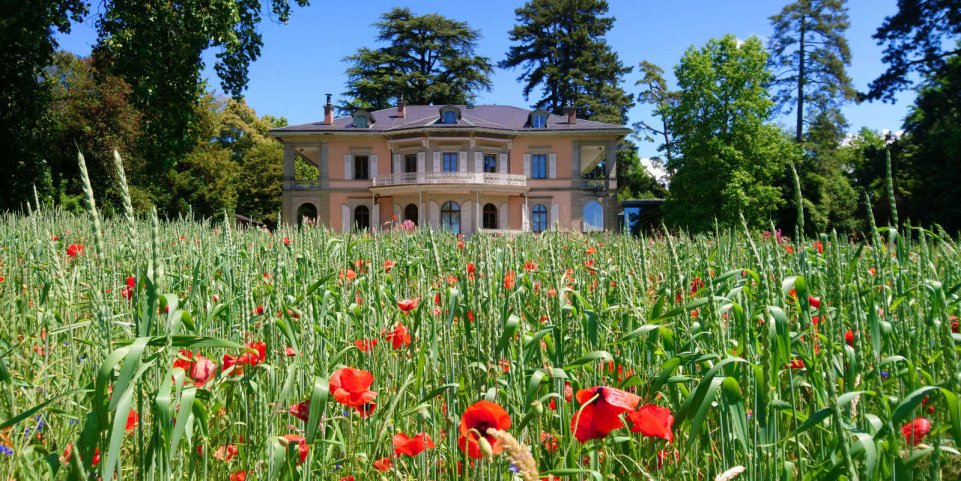 La fondation de l'Hermitage