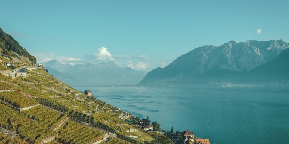 Les vignobles de Lavaux