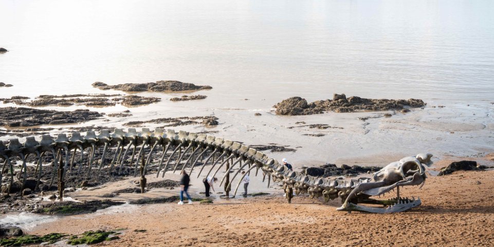 Saint-brévin et sa plage