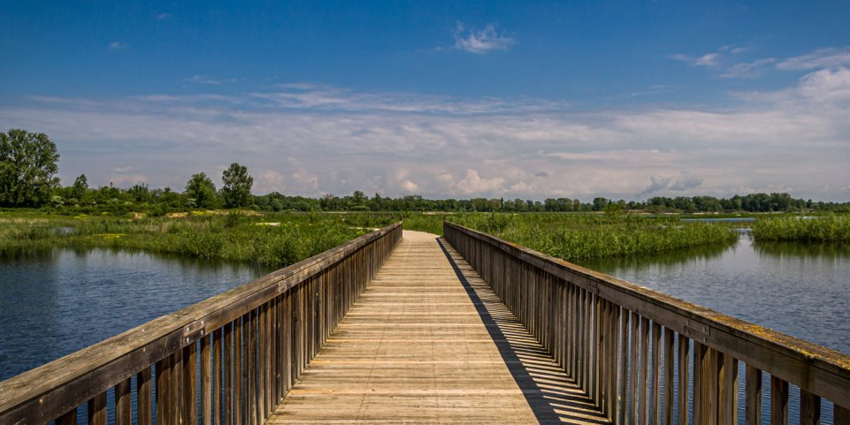 Passerelle sur le Lac Miribel Jonage, Lyon