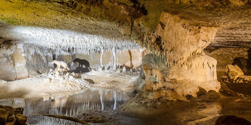 Grottes Pétrifiantes de Savonnières