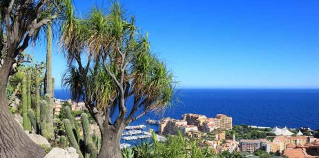 vue sur baie de Monaco 