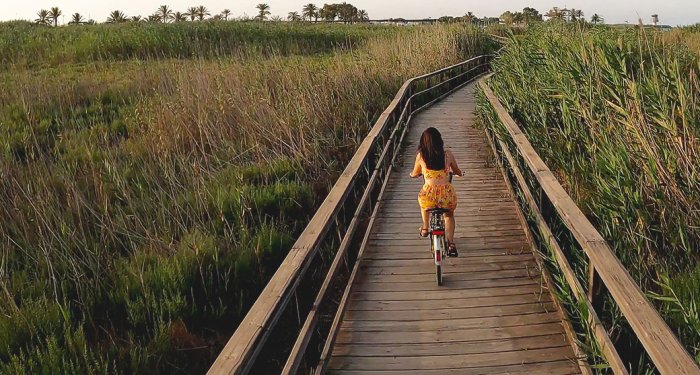 temps fort printemps