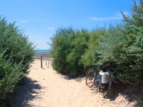 Vélo sur la plage à l'île de Ré