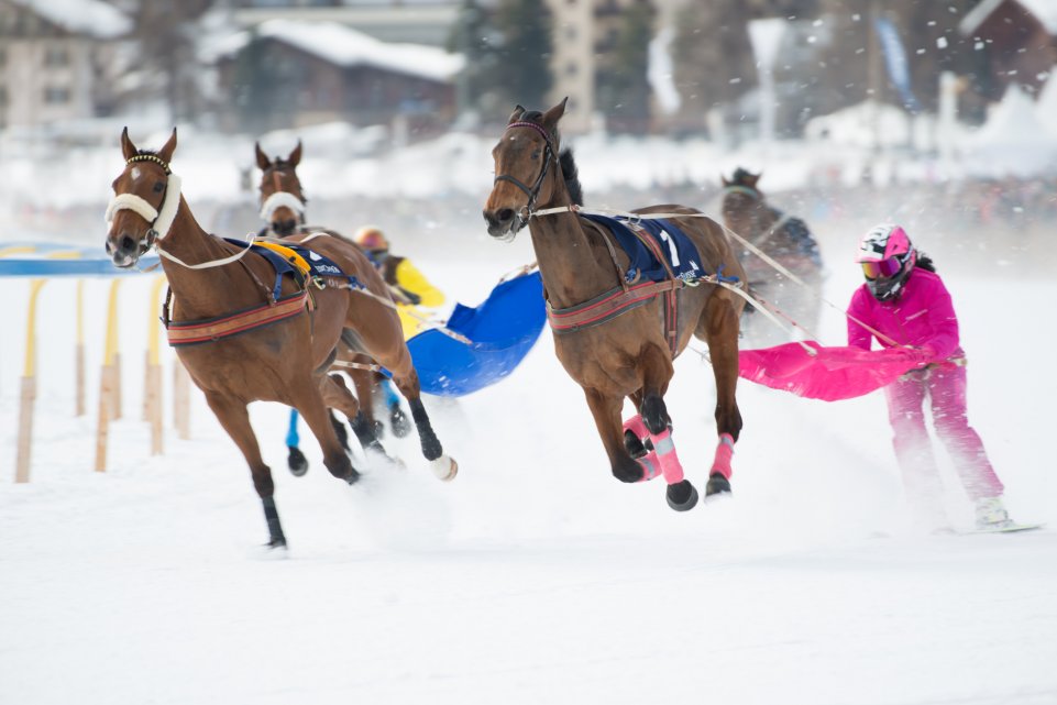 Ski joering