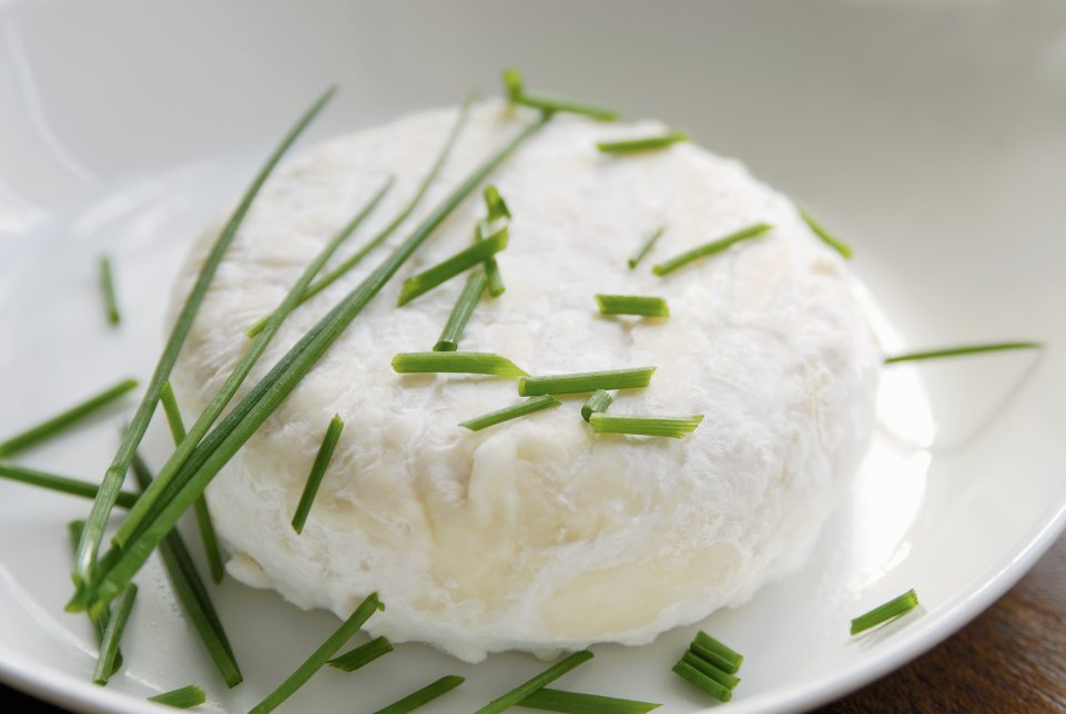 Saint marcellin fromage