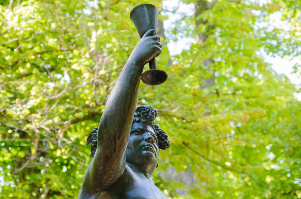 Bacchus statut