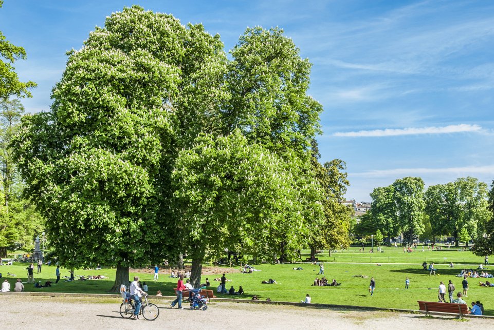 Jardin public de Bordeaux