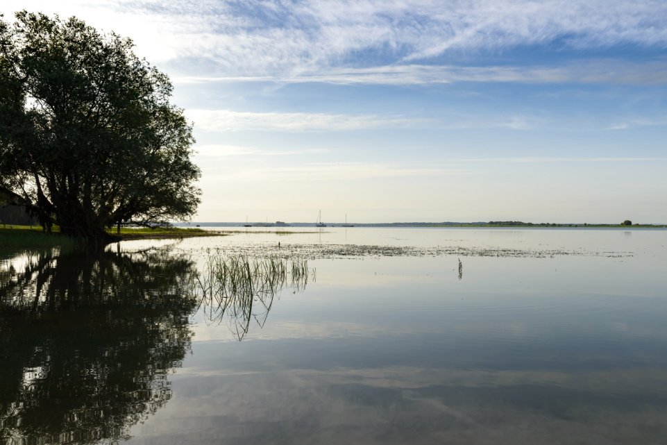 lac du der 