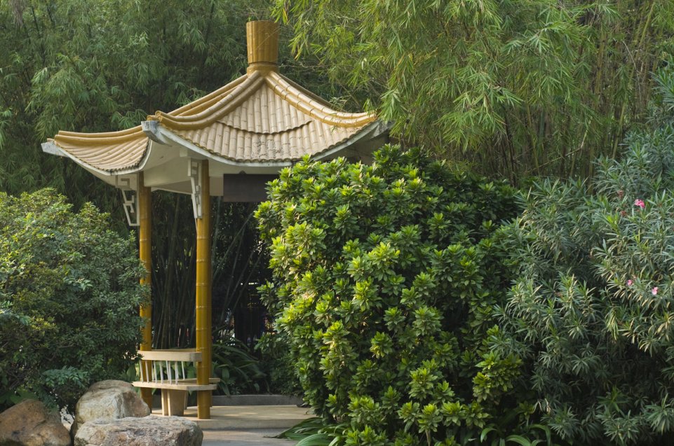 Jardin japonais pagode bambou zen