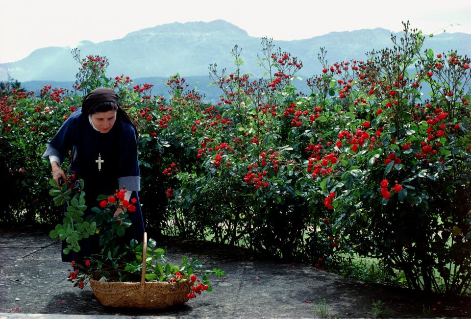 Les Caves de la Chartreuse SNCF Connect